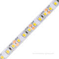 SMD 2835 Luz de tira LED DC12V de 24 V Flexible